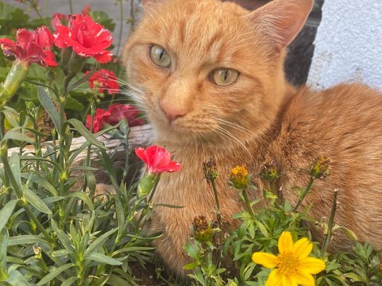 Pfelders erleben – Urlaub auf dem Bauernhof Pfelders erleben – Urlaub auf dem Bauernhof