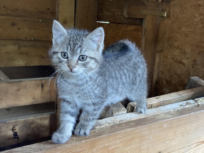 Pfelders erleben – Urlaub auf dem Bauernhof Pfelders erleben – Urlaub auf dem Bauernhof