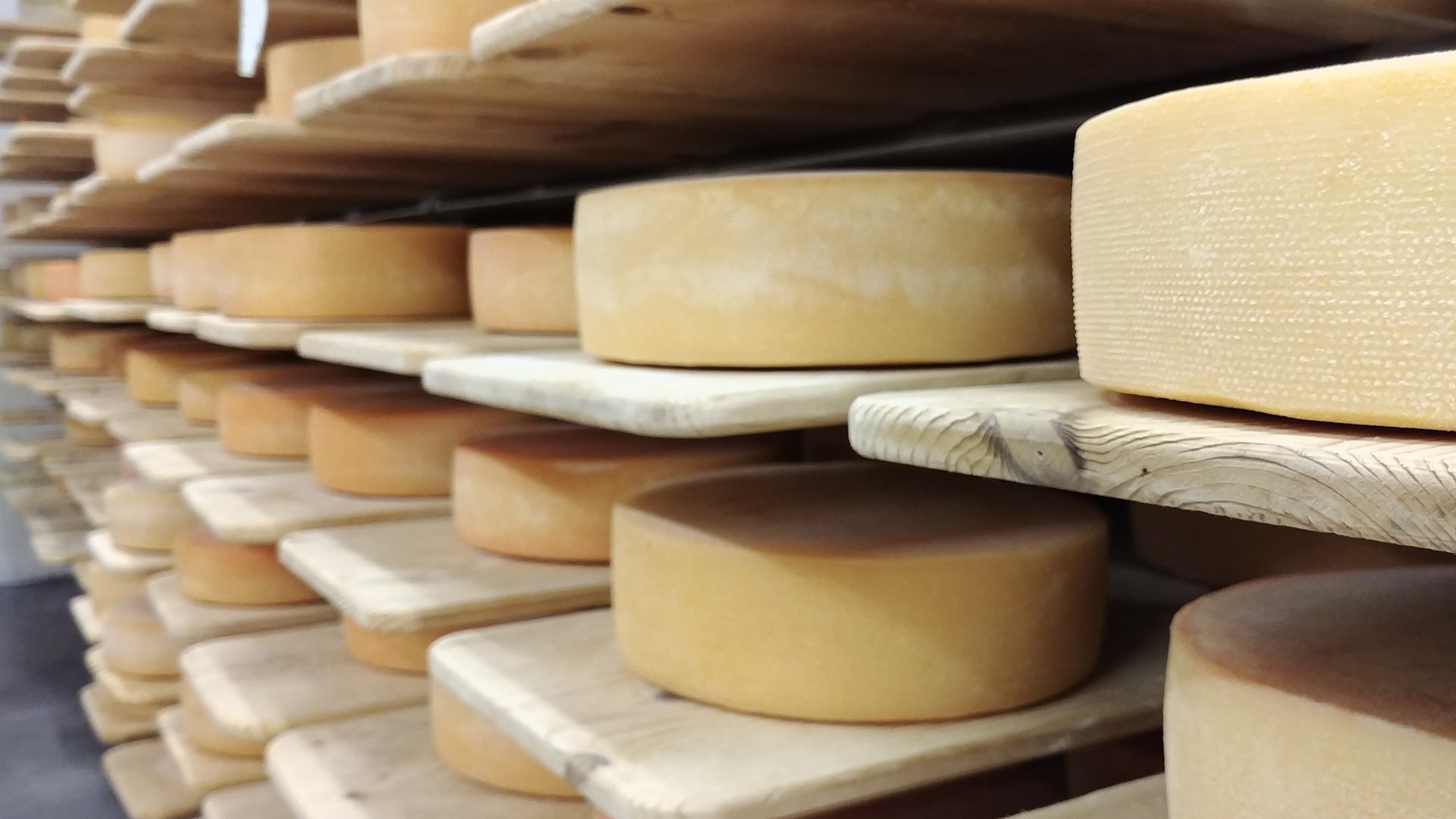 Deine Unterkunft in Pfelders Deine Unterkunft in Pfelders